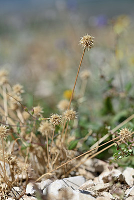 BUITEN BEELD Foto: 346918