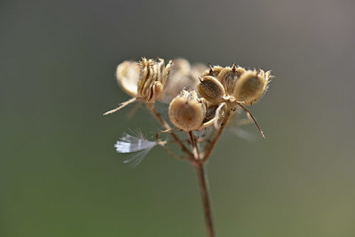 BUITEN BEELD Foto: 346949