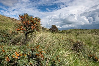BUITEN BEELD Foto: 346996