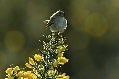 BUITEN BEELD Foto: 347014