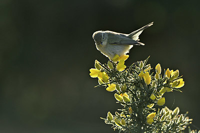 BUITEN BEELD Foto: 347015