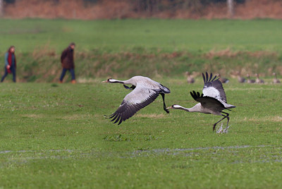 BUITEN BEELD Foto: 347064