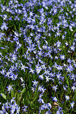 BUITEN BEELD Foto: 347083