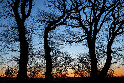 BUITEN BEELD Foto: 347107