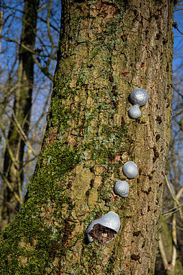 BUITEN BEELD Foto: 347109