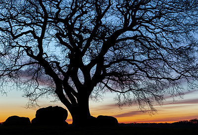 BUITEN BEELD Foto: 347116