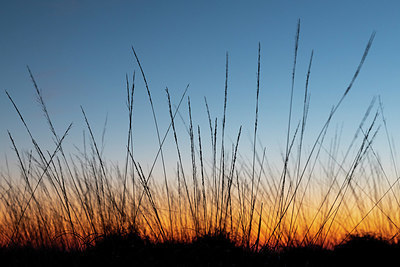 BUITEN BEELD Foto: 347322