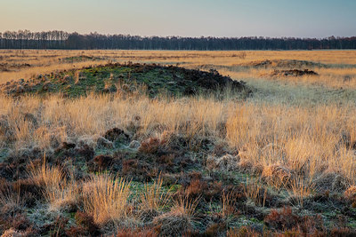 BUITEN BEELD Foto: 347385