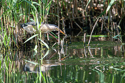 BUITEN BEELD Foto: 347408