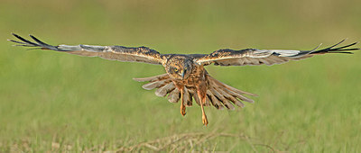 BUITEN BEELD Foto: 347435