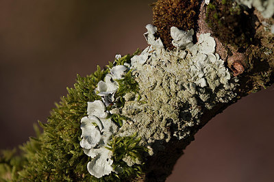 BUITEN BEELD Foto: 347477
