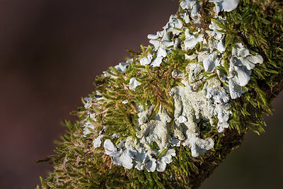 BUITEN BEELD Foto: 347478