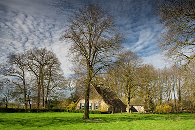 BUITEN BEELD Foto: 347606