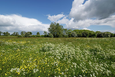 BUITEN BEELD Foto: 347659