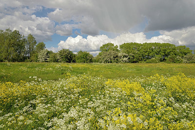 BUITEN BEELD Foto: 347664