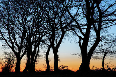 BUITEN BEELD Foto: 347719