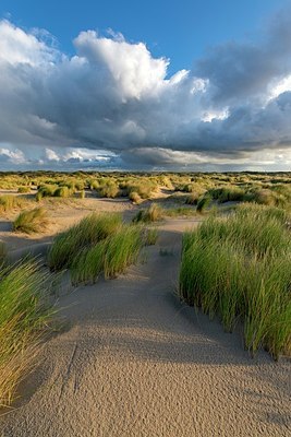 BUITEN BEELD Foto: 347783