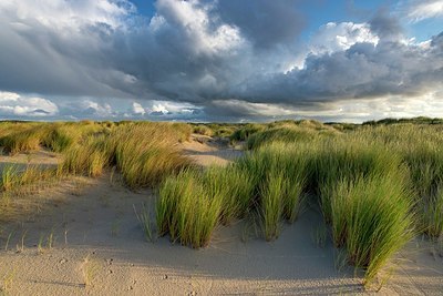BUITEN BEELD Foto: 347785
