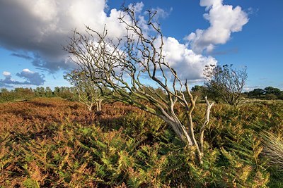 BUITEN BEELD Foto: 347790