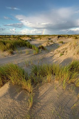 BUITEN BEELD Foto: 347791