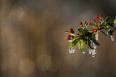 BUITEN BEELD Foto: 347804