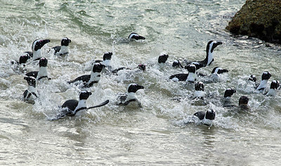 BUITEN BEELD Foto: 347861