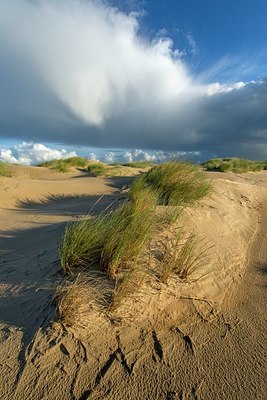BUITEN BEELD Foto: 347902