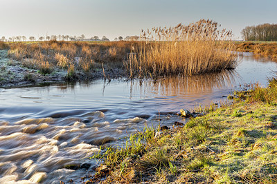 BUITEN BEELD Foto: 347956