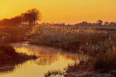 BUITEN BEELD Foto: 347958