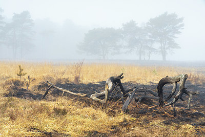 BUITEN BEELD Foto: 347971