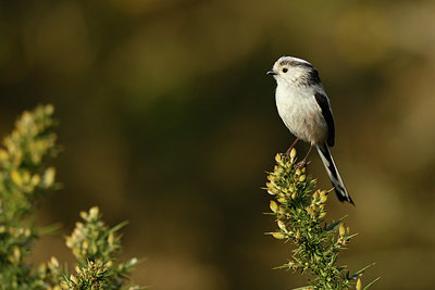 BUITEN BEELD Foto: 348042