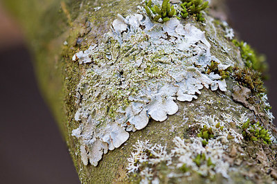 BUITEN BEELD Foto: 348093