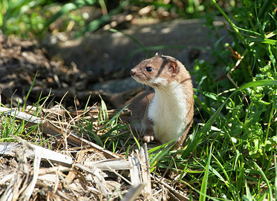 BUITEN BEELD Foto: 348111