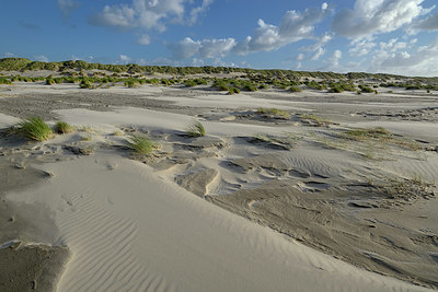 BUITEN BEELD Foto: 348132