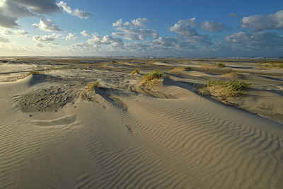 BUITEN BEELD Foto: 348133
