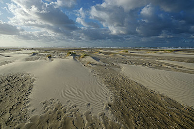 BUITEN BEELD Foto: 348157