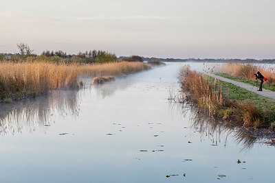 BUITEN BEELD Foto: 348174