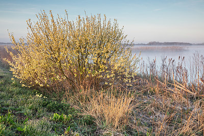 BUITEN BEELD Foto: 348181