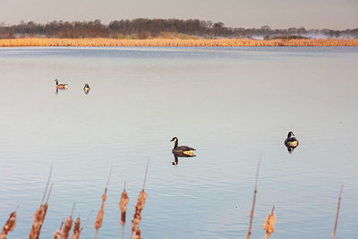 BUITEN BEELD Foto: 348182