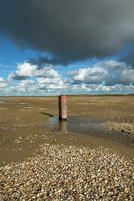 BUITEN BEELD Foto: 348209