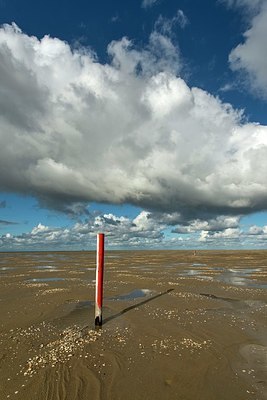 BUITEN BEELD Foto: 348210