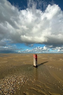 BUITEN BEELD Foto: 348211