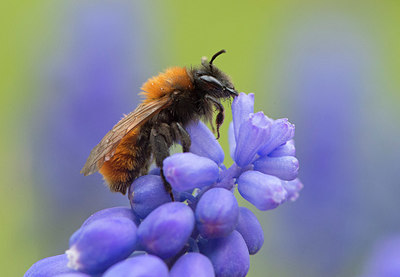 BUITEN BEELD Foto: 348238