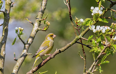 BUITEN BEELD Foto: 348316