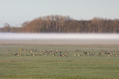 BUITEN BEELD Foto: 348460