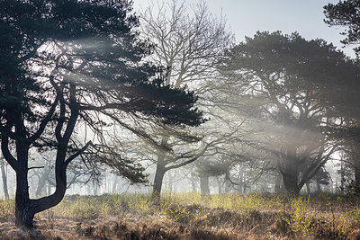 BUITEN BEELD Foto: 348498