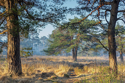 BUITEN BEELD Foto: 348499