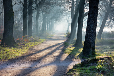 BUITEN BEELD Foto: 348505