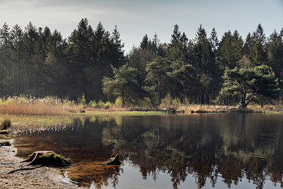 BUITEN BEELD Foto: 348530