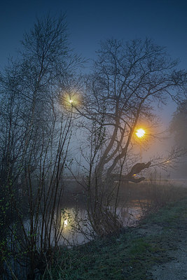 BUITEN BEELD Foto: 348650